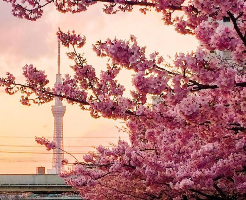 5Mins From Jr Kinshicho! Near Asakusa&Skytree! Τόκιο Εξωτερικό φωτογραφία